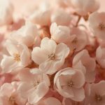 Floral Collections